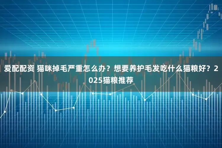 爱配配资 猫咪掉毛严重怎么办？想要养护毛发吃什么猫粮好？2025猫粮推荐